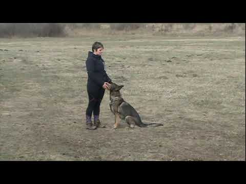 Onyxia Duffmar - poslušnost 14.3.2021