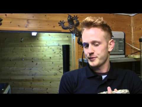 New zoo to open in Meopham