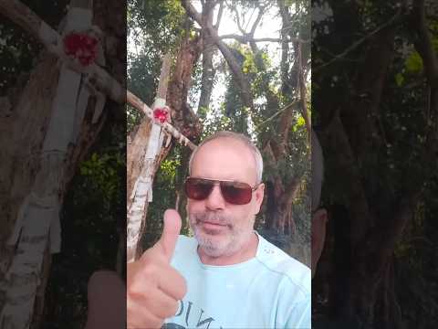 Uma cruz na estrada em Minas Gerais! 🇧🇷 #shorts #curiosidade