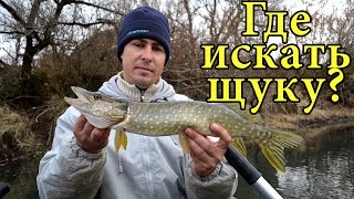Какая рыба клюет в конце ноября