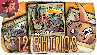 12 Rhinos