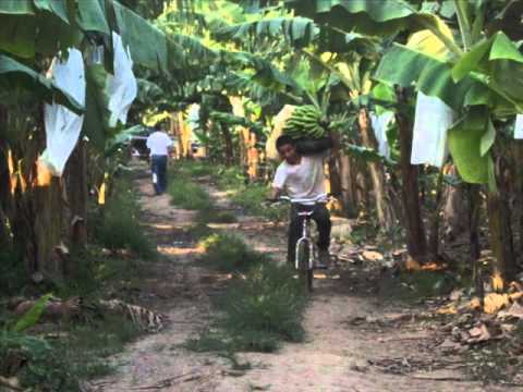 Los Silver Star - La mujer pensante