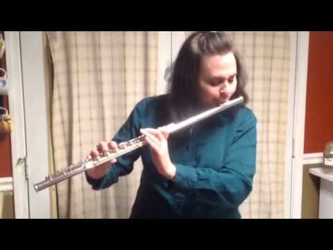 Yamaha flute YFL 681