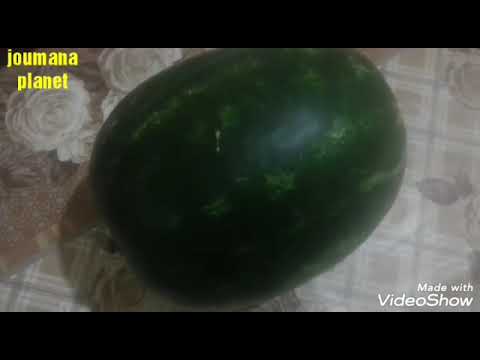 كيف تميز البطيخه الحمراء المسكره الحلوه بمنتهى البساطه