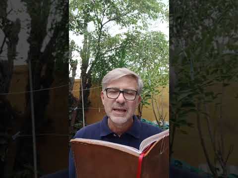 Evangelio del Nuestro Señor Jesucristo Con el Padre Fabian Esteban Oliva.  08/02/26