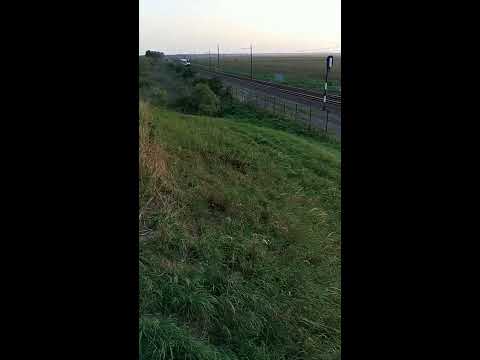 The Netherlands: A Sprinter Train spotted near the Oostvaarders,