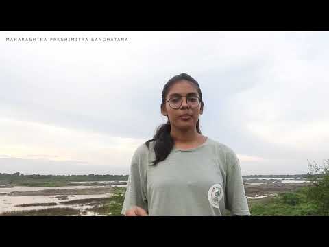 My Daughter behind Bird & Birding Movement of Maharashtra.