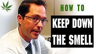 How to Keep Down the Smell of Smoking Marijuana Tricks & Tips w/ Bogart #9