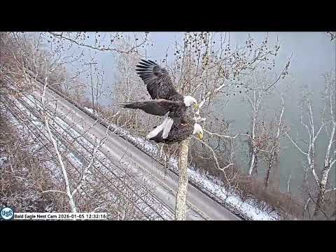 USS Bald Eagle Nest Cam & Cam 1 on 1-5-26 @ 12:32 1st mating on camera for 2026