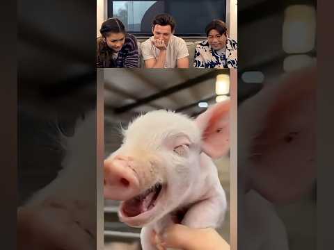 Tom Holland React Viral Videos part 75 #tomholland #funny #trytolaugh #reaction