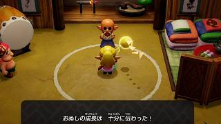 ＃026【ゼルダの伝説 知恵のかりもの】夢島好きによる初見実況プレイ