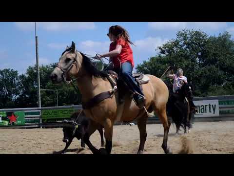 World Series of team roping, Germany (Sestřih)