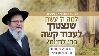 פרשת משפטים • זו הסיבה לכך שאלוקים רוצה שנעבוד קשה למחייתנו
