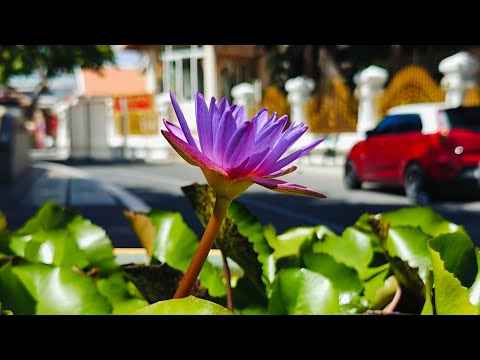 guided meditation on Marnanusmruti Death contemplation part 4