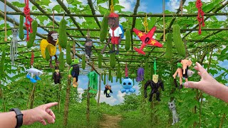 Hunting Italian Brainrot Anomali: Pupil Tung Tung Sahur, Trallalero Trallala, Octopussini, Bannanini