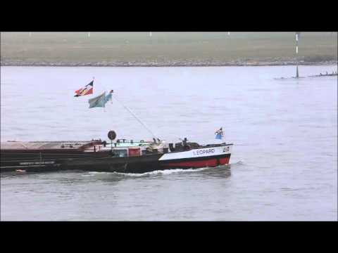 Binnenschiff Leopard aud dem Rhein