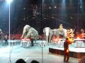 Ringling Bros Circus Elephants Dancers July 2009