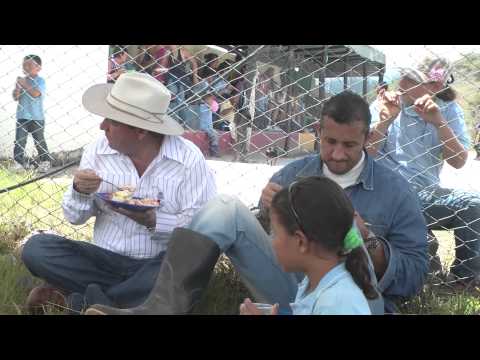Zapatoca.net - Zapatoca.net -