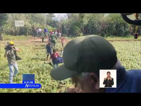 Cuba: Rescate de personas en el municipio holguinero de Urbano Noris