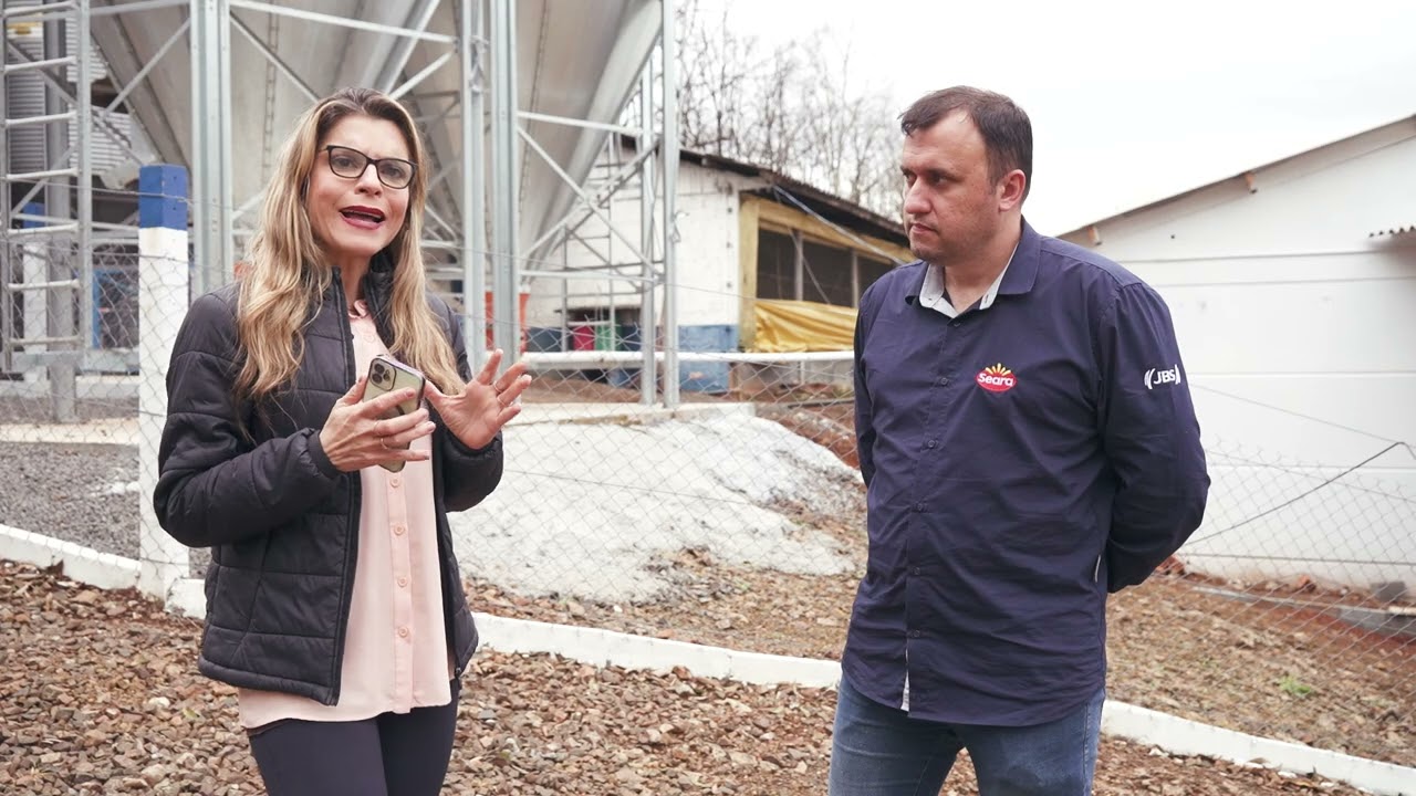 Como funciona a cadeia produtiva da carne suína | Interligado