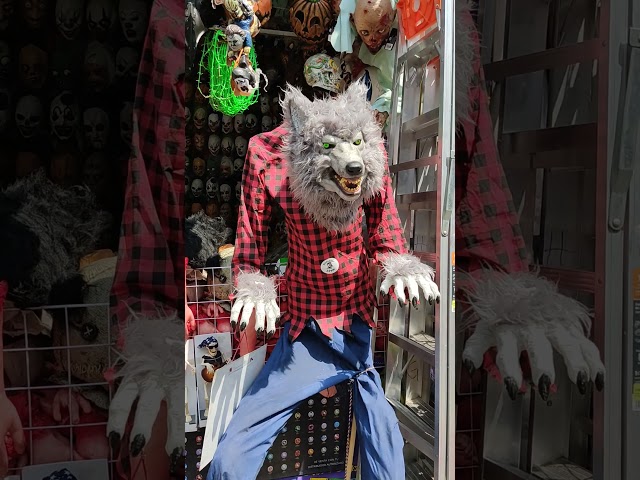 Vídeo relacionado con Disfraz hombre lobo niño licántropo, camisa cuadros roja, Halloween carnaval, fiesta escolar teatro, cosplay infantil, estilo clásico bosque, pelaje gris (Camisa+máscara+glovos, 7-9)