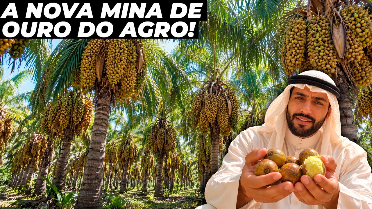 A fruta brasileira que os árabes estão de olho e vale 200 bilhões!
