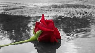 Download lagu Puisi cinta Tanpa restu orang tua || musikalisasi puisi mp3