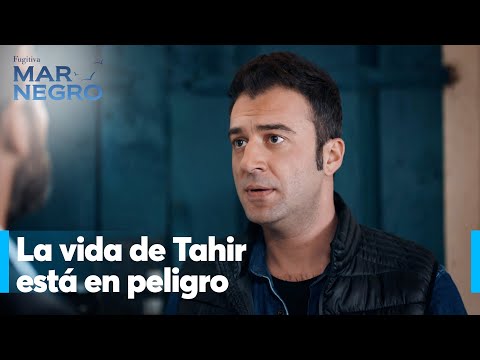 Ali no puede decirle a Mustafa de que Tahir está perdido - Mar Negro Capítulo 107 | Fugitiva