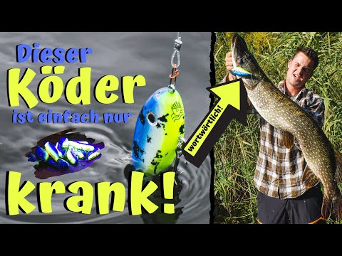 HAVELJERK SPEZIAL & GEILE FÄNGE 💣🤩 FEAT. JAN BOREK