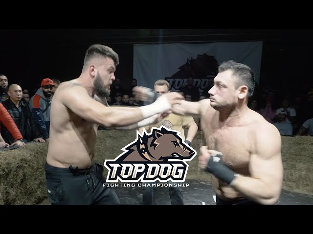 Top Dog | Peleas callejeras controladas