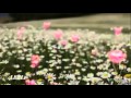 Chris Spheeris - Slow Dance 