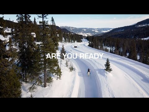 How to Shoe a Horse for Snowy Conditions