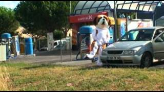 L'Amour fou Music Video