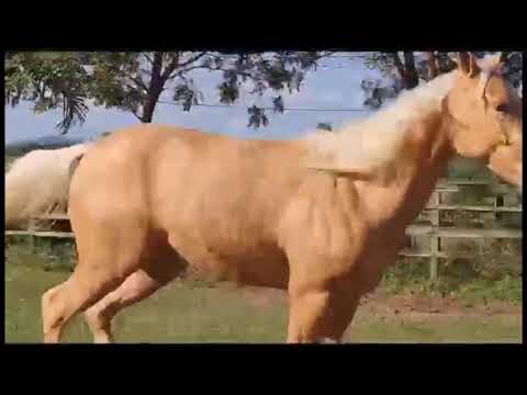 ATOS ETERNO EASE HIS