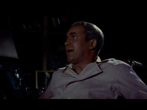 James Stewart & Raymond Burr -Final Scene of Rear Window (1954) Alfred Hitchcock Movie  HD
