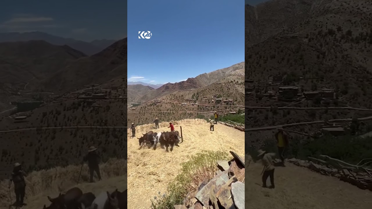 ڤیدیۆ | دیمەنێکی جوانی گێرەکردن ببینە