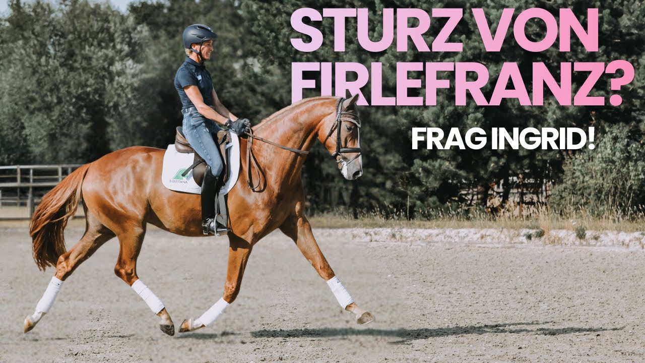 So kam es zum Sturz von Firlefranz!  | Ingrid Klimke | Frag Ingrid