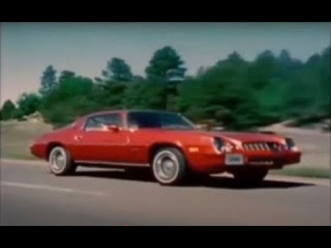 You Didn't Find This Sample, This Sample Found You