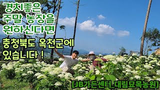 경치 좋은 주말농장을 찾으신다면 ?!?!충청북도 옥천군에 있습니다! [JB가든센터_대림묘목농원]