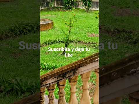 Misión San Francisco de Laishi Formosa