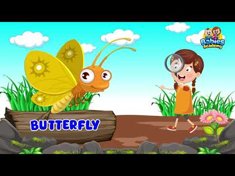 All About Insects for Children: Bees, Butterflies, Ladybugs, Ants and Flies for Kids| Babies Academy