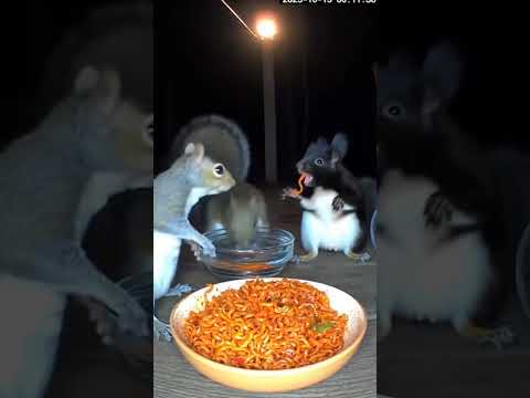 spic convert his skin into the Black 🤣😂🇺🇸 #sora #funny #soralife #animals #spicyfood