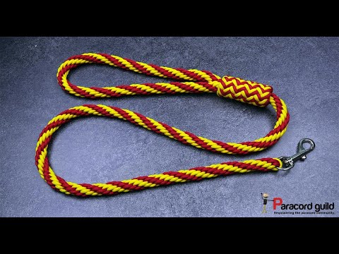 Kumihimo paracord dog leash- a bit fancy