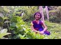 Vithumbum Kunju Manasil Song Malayalam