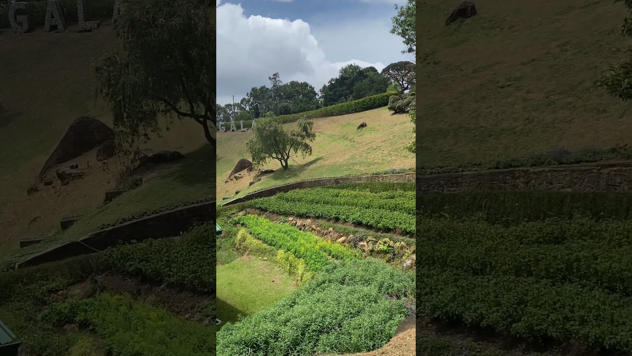 YouTube Short thumbnail