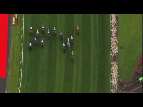 2021 Crystal Vase (G2) | Forgot You | VRC Derby Lead-Up |