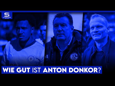 Holt Schalke Anton Donkor? Verstärkung für die linke Seite oder unnötiger Neuzugang? | S04 Analyse