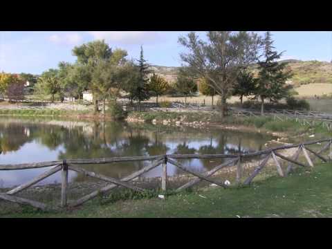 Le Quattro Stagioni a Torre Cajetani  -  L'AUTUNNO