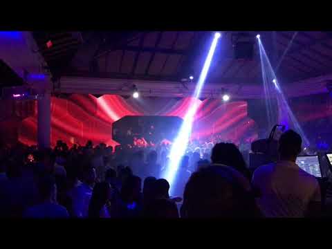 Gringos anthem summer 2017