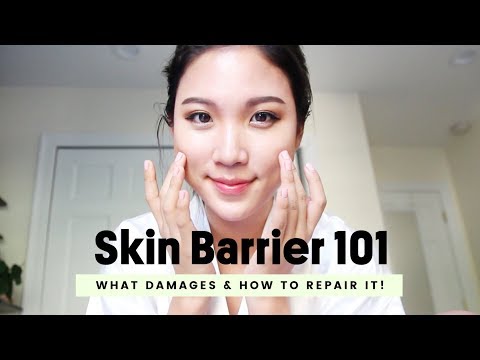 The Cheapest & Most Effective Skincare : Skin Barrier • How To Repair It Video